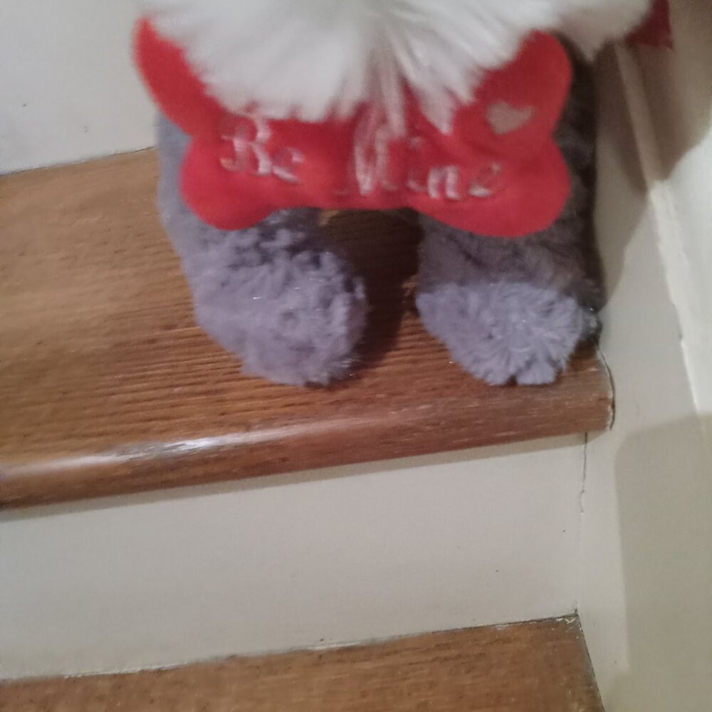 Valentine's Day Be Mine Schnauzer Gray and white Dog Realistic stuffed animal - Picture 4 of 4